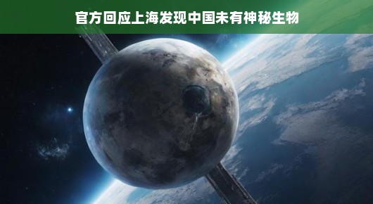 轻松解读，关于上海未发现神秘生物的官方回应