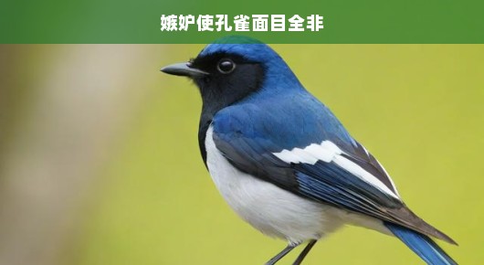 嫉妒使孔雀面目全非