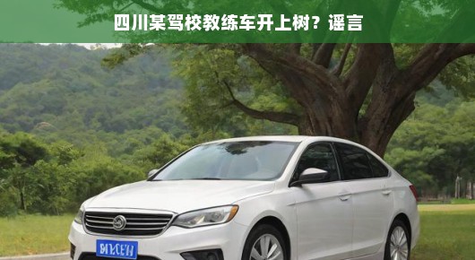 揭秘四川某驾校教练车飞上树的背后真相，一探谣言究竟！