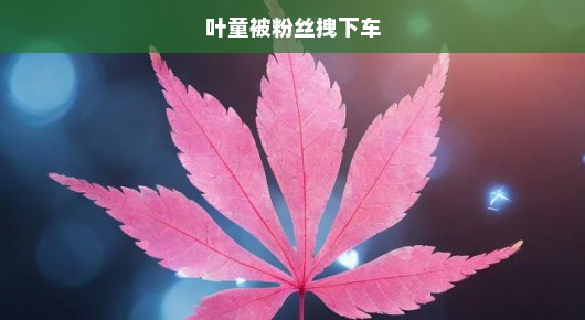 叶童遭遇粉丝热情拉拽，意外下车瞬间
