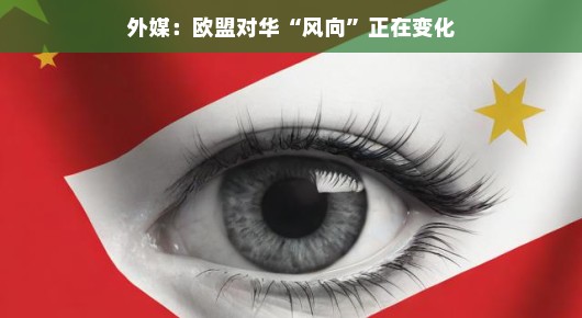 外媒眼中的欧盟对华风向变化