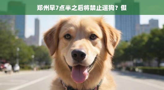 假新闻也疯狂？解读郑州早7点半之后将禁止遛狗传闻背后的真相