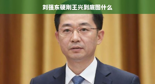 刘强东和王兴的商业对决，大佬间的博弈，究竟有何深意？，大佬之间的商业博弈总是让人津津乐道。刘强东和王兴的这场较量，究竟背后隐藏着怎样的深意呢？让我们来一探究竟。，首先，这场较量反映了电商和餐饮两大行业的竞争态势。刘强东的京东和王兴的美团都是各自领域的佼佼者，他们的竞争不仅是商业模式的竞争，更是对未来市场趋势的预判和布局。这种竞争背后，是对市场份额、用户流量、供应链管理等核心资源的争夺。，其次，这场博弈也是两位大佬战略布局的体现。刘强东和王兴都有自己的商业帝国蓝图，他们的每一次决策都是为了实现自己