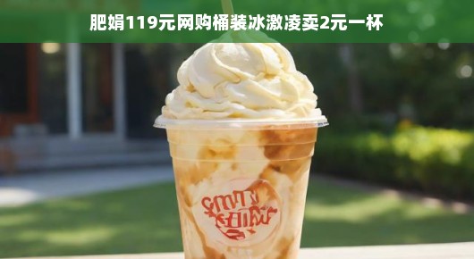 肥娟的网购桶装冰激凌，119元大采购，2元一杯的清凉夏日