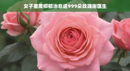 女子重度抑郁治愈送999朵玫瑰谢医生，希望之花盛开在生命的春天