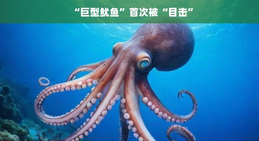 嘿，大爆料！传说中的巨型深海鱿鱼真的现身啦！这不是幻觉，是活生生的大新闻！