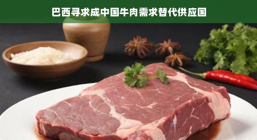 巴西瞄准中国牛肉市场，寻求成为需求替代供应国的新机遇