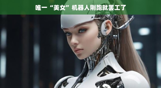美女机器人的闪亮登场