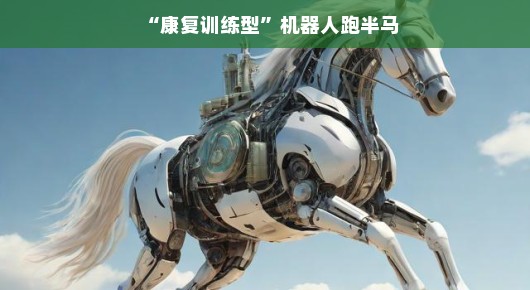 康复训练型机器人跑半马的奇妙之旅