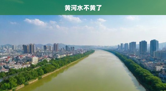 嘿,黄河水变绿啦!中国河流的绿色奇迹,见证时代变迁的美好瞬间!