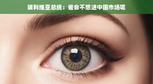 玻利维亚总统眼中的中国市场，诱人的机遇与挑战并存
