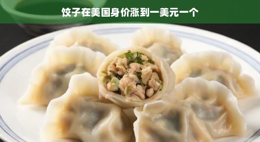 哇塞！美国饺子爆红啦！价格飞涨，一美元一个成抢手货，美食界掀起热潮！