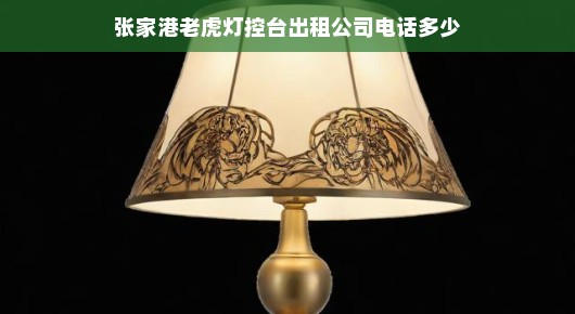 张家港老虎灯控台出租服务热线—专业品质，值得信赖