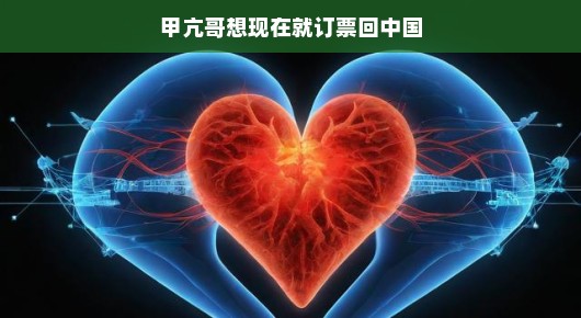 哈哈，甲亢哥激动归乡，抢购机票，踏上欢快归国之旅！