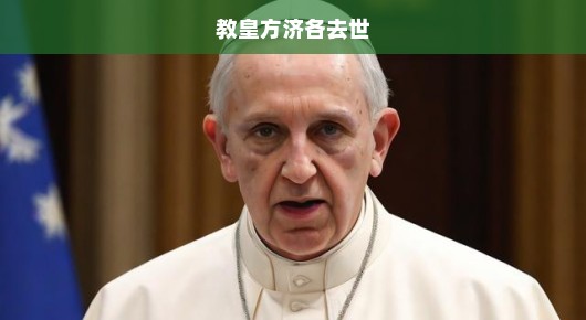 教皇方济各的离世，缅怀与前行