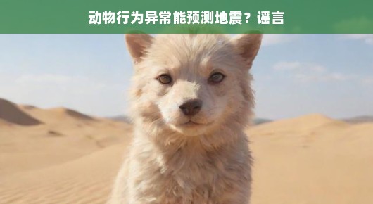揭秘真相，动物行为异常能否预测地震？谣言背后的真相揭晓
探寻动物行为与地震的关联，谣言背后的真相揭秘