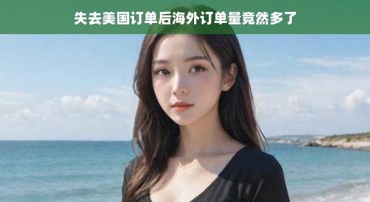 失去美国订单后海外订单量竟然多了
逆境中的机遇，失去美国订单后的海外订单增长奇迹
