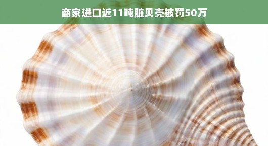 轻松看待商家进口近11吨脏贝壳被罚50万的事件