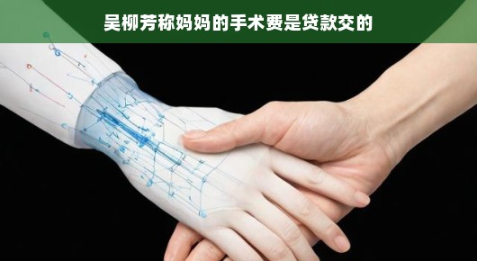 吴柳芳与母亲的手术费用背后的故事，贷款的力量