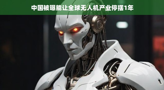 中国无人机产业的力量，全球产业停摆一年的可能性探究