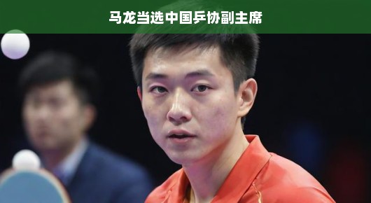 马龙新任乒协副主席啦!新篇章开启,继续发光发热,再创佳绩,龙哥加油,期待更多精彩!