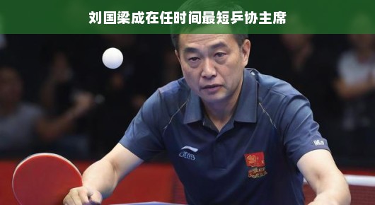 刘国梁,乒坛传奇与短任期主席的领导启示录