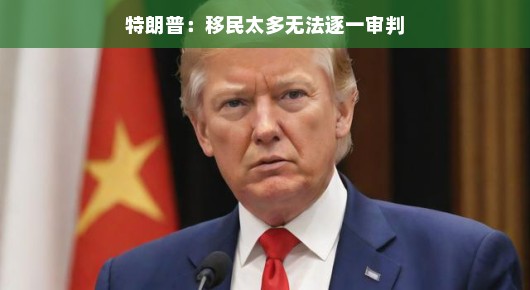 特朗普谈移民压力，面对庞大人群，轻松应对挑战是重中之重！