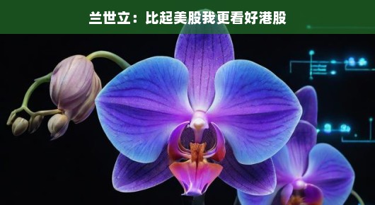 兰世立，比起美股，我更看好港股