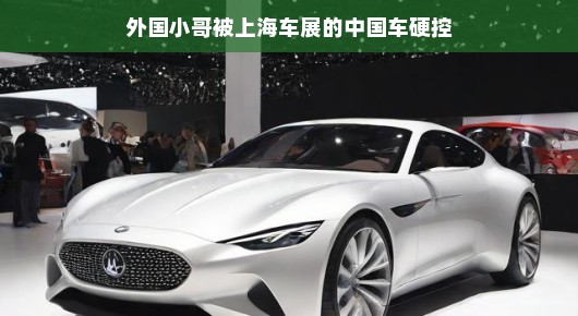 外国小哥被上海车展的中国车震撼到了！