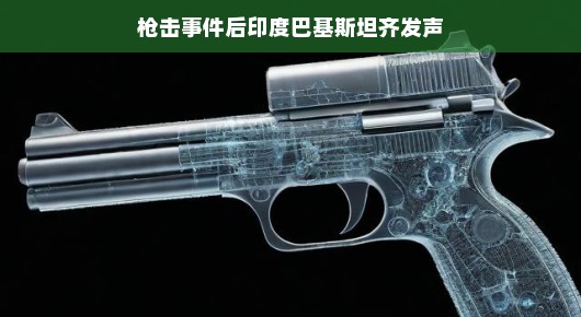 枪击事件后印度巴基斯坦齐发声，共筑和平的愿景
