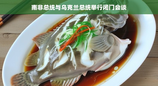 南非总统与乌克兰总统私下交流,携手深化合作共同打造美好未来蓝图,展望合作新篇章