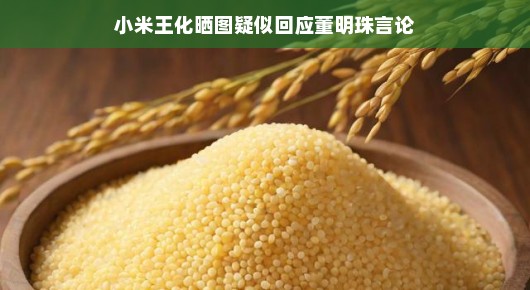 董明珠发言引发热议，小米王化巧妙晒图回应，科技巨头间的友好互动彰显和谐氛围