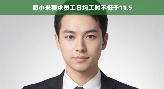 轻松视角下的职场观察，小米员工日均工时要求引发关注