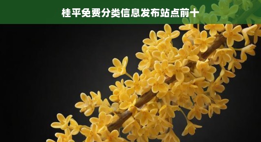 桂平免费分类信息发布站点排名前十（偏向口语化叙述）