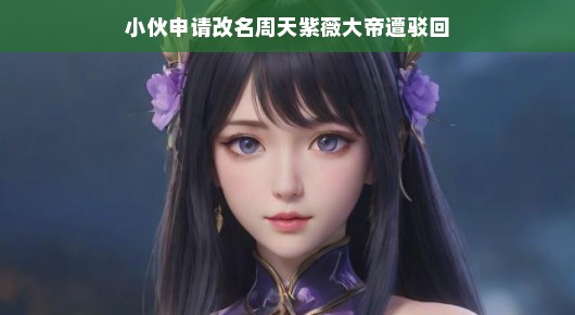 小伙想改霸气新名遭拒,揭秘背后的故事!周天紫薇大帝梦碎记。