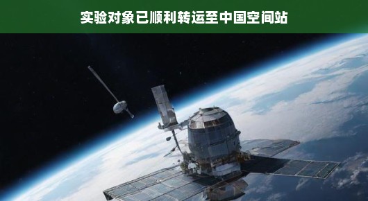 实验对象顺利转运至中国空间站，太空科研新篇章开启