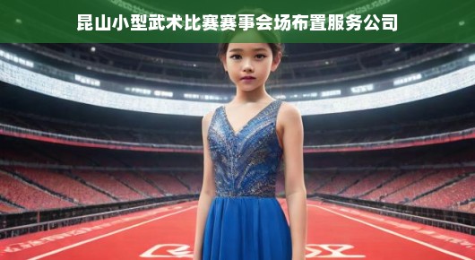 昆山小型武术比赛赛事会场布置服务公司的独特风采