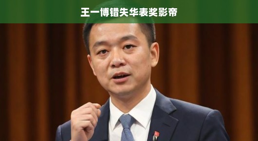 王一博错失华表奖影帝，遗憾中的期待
