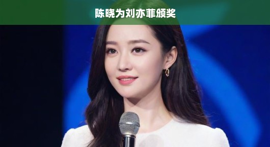 陈晓为刘亦菲颁奖，星光璀璨的时刻