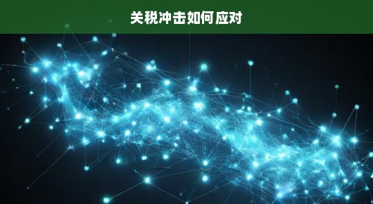 迎战关税挑战，轻松应对秘籍大解密！策略建议小课堂开课啦！，一、洞悉关税政策动态，轻松迎战！知己知彼，百战百胜！揭秘关税冲击应对策略，从深入了解关税政策走势开始。紧跟政策步伐，捕捉关税调整信息，让你游刃有余地应对挑战！，二、揭秘优化供应链管理的制胜法宝！迎战关税冲击的关键武器！调整采购、生产和销售布局，降低成本，提升竞争力，轻松应对关税变动！，三、关税策略解密，智慧应对不是梦！探索轻松应对关税冲击的秘籍，制定明智的策略建议，助你轻松化解焦虑，迎战无忧！