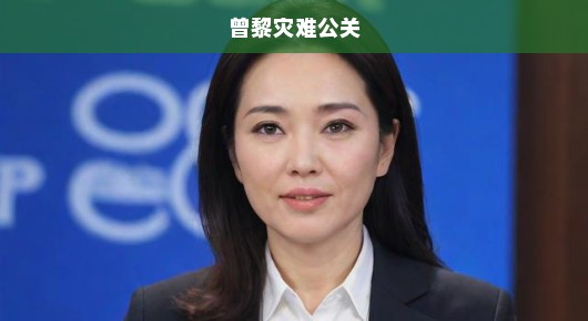 曾黎灾难公关，危机中的智慧与韧性