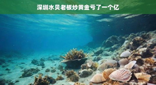 深圳水贝老板黄金投资失利记，一个亿的教训