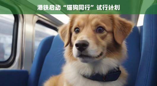 港铁启动猫狗同行试行计划,开启人与宠物共乘新篇章