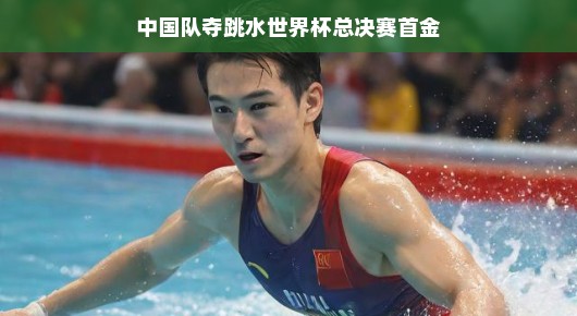 中国队夺跳水世界杯总决赛首金，闪耀世界的辉煌时刻