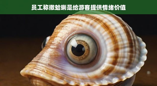 撒蛤蜊，传递快乐，员工眼中的情绪价值之旅