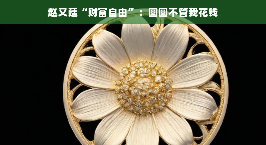 赵又廷的财富自由，圆圆不管我花钱