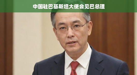 中国驻巴基斯坦大使与巴总理的会面，深化友谊与合作的新篇章