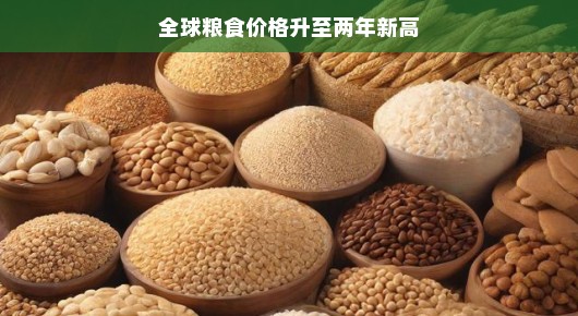 全球粮食价格升至两年新高，背后的原因与我们的应对之道