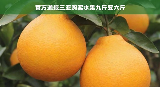 轻松应对三亚水果称重问题,官方通报背后的故事