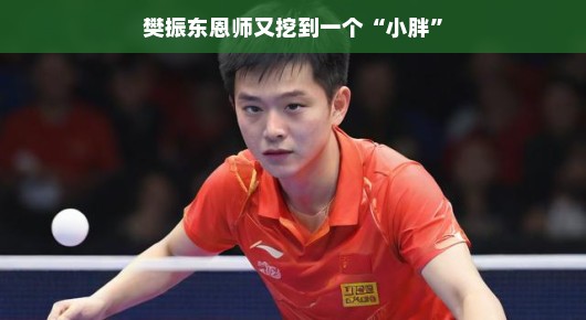 樊振东恩师又挖到一个小胖—乒乓球新星崛起之路
